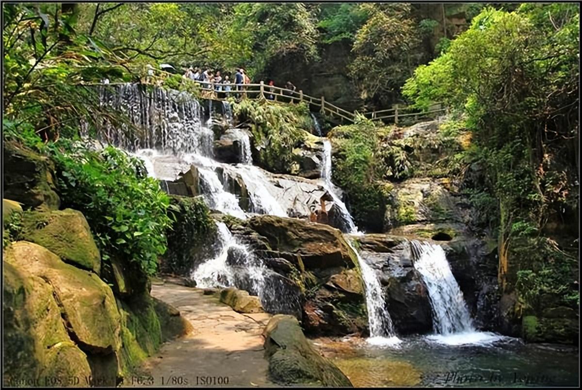 鼎湖山在哪里(肇庆鼎湖山景区)