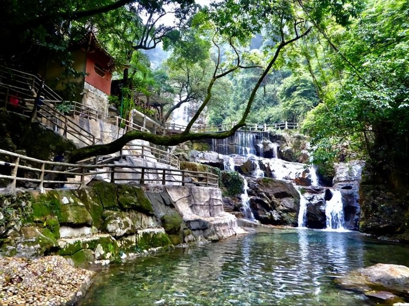 鼎湖山在哪里(肇庆鼎湖山景区)