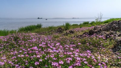 ​洞庭湖在哪个省(洞庭湖在哪里)