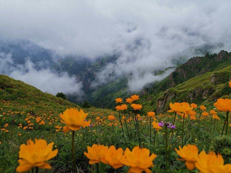 小五台山在哪里(小五台山海拔多少米)