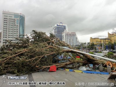 ​威马逊台风是哪一年(海南威马逊台风是哪一年发生的)