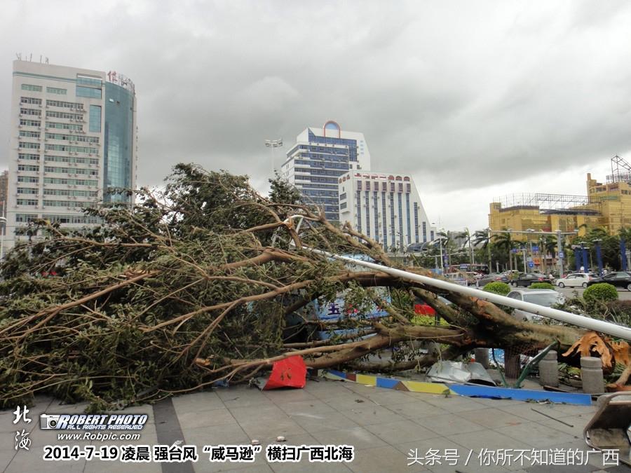 威马逊台风是哪一年(海南威马逊台风是哪一年发生的)