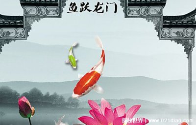 ​梦见鱼5种征兆要发财，梦见鱼飞起来了最好(鱼跃龙门事事顺心)