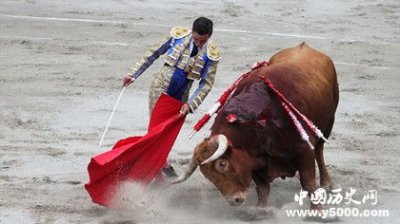 ​西班牙斗牛结束后为什么要把牛杀死呢