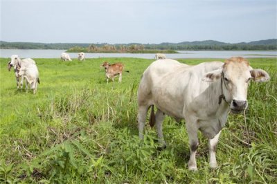 ​土象星座是什么意思   土象星座的性格特征解析