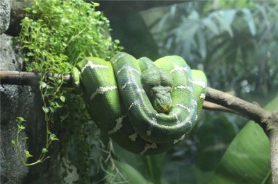 ​射手座女生性格特点