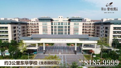 ​东莞高中排名2021最新排名（2021东莞中考学校排名）