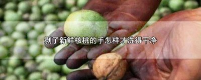 ​怎么洗剥了核桃的手 手剥完核桃用什么洗