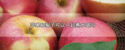 ​苹果能和梨子一起煮水喝吗 梨子和苹果可以一起煮水吗