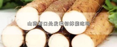 ​山药断口发霉能吃不 铁棍山药切口发霉了还能吃吗