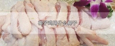 ​椰子鸡应该用什么椰子 椰子鸡用哪种椰子好