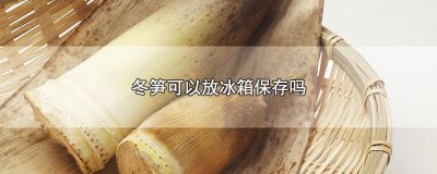 ​冬笋可以冰箱保存吗? 冬笋可以放冰箱保鲜吗