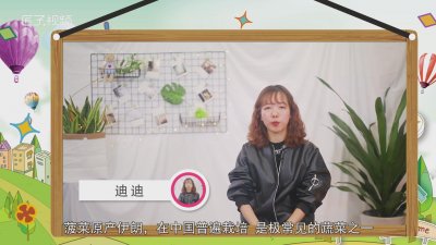 ​波菜不能和什么一起吃,香哈 波菜和什么不可以一起吃