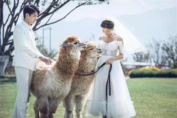 夫妻分居两年能挽回吗 夫妻分居两年还能复合吗