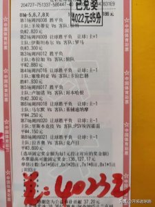 ​体彩到底怎么玩（玩体彩输了10万怎么办)