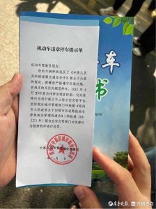 ​不到20天郑州城管贴74万张违停单？网友热议，官方回应