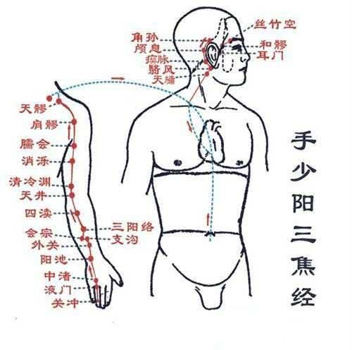 一穴除便秘！每天早晨揉一次，10天一个疗程，谁用谁灵