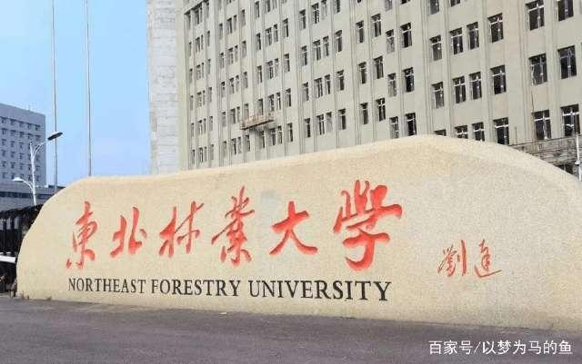 这13所211大学“考研难度”很小！考上的机会很大！