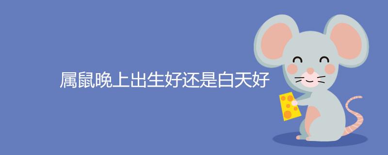 属鼠的晚上出生好还是白天好 不同时辰命运解析