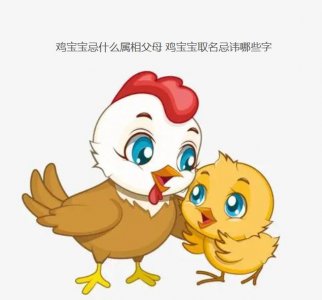 ​鸡宝宝忌什么属相父母 鸡宝宝取名忌讳哪些字