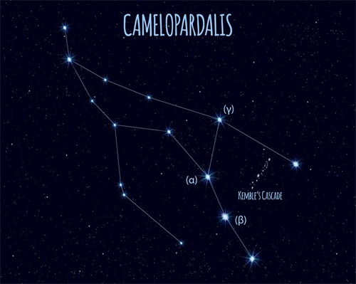 美国神婆星座网运势查询 第一星座网每日运势查询