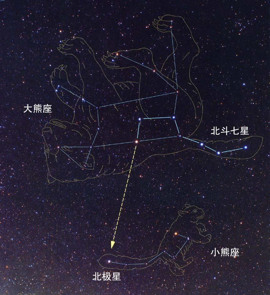 星座中的装熊星座是哪个，你猜对了吗？