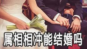 两个人属相相冲能结婚吗