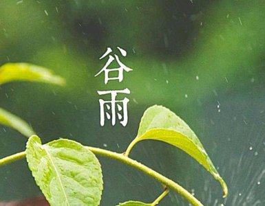 ​谷雨下雨有啥说讲？该注意什么？听听老人咋说吧