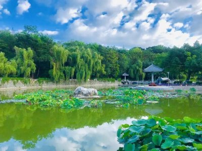 ​攀枝花学院-阁下可曾听闻一所名叫攀枝花学院的大学？