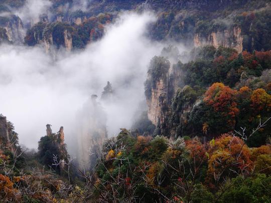 超详细的张家界攻略附森林公园天门山玻璃桥路线推荐